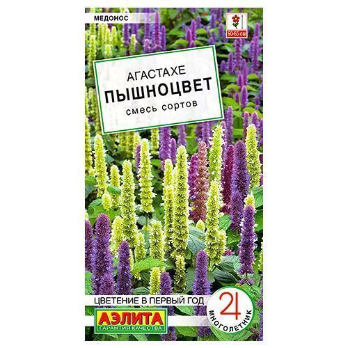 ����  �������� ���������, ����� ������ ������, ������ �� 30 ���