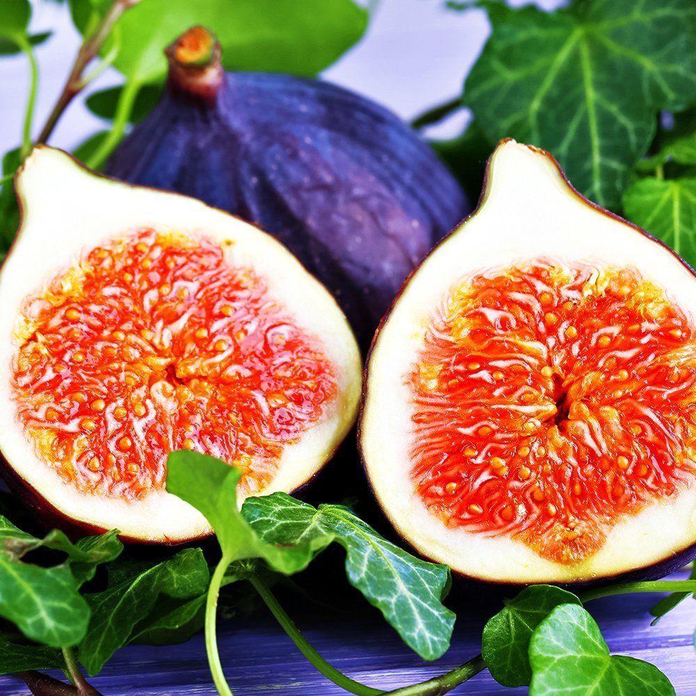 ����  ����� ������������� ������ �����, ������ �� 603 ���