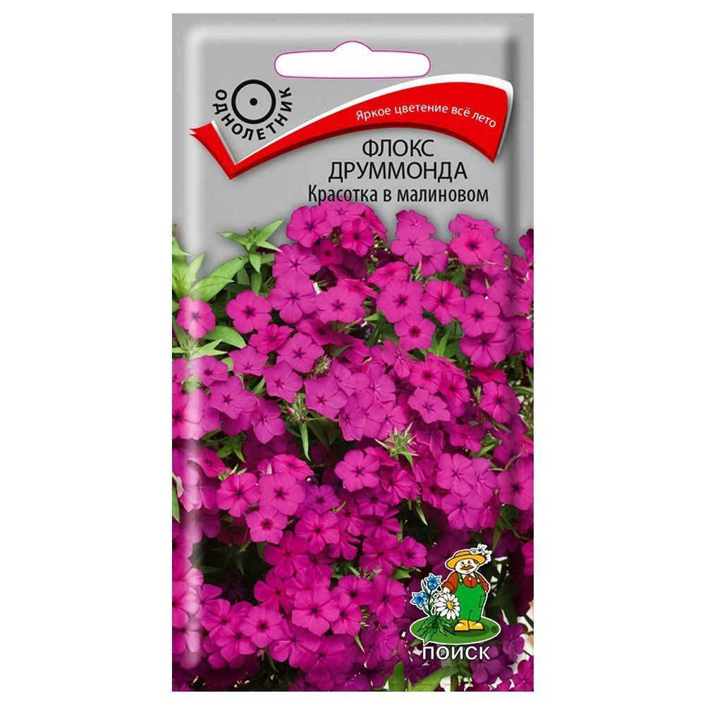 ����  ����� ��������� �������� � ��������� �����, ������ �� 30 ���