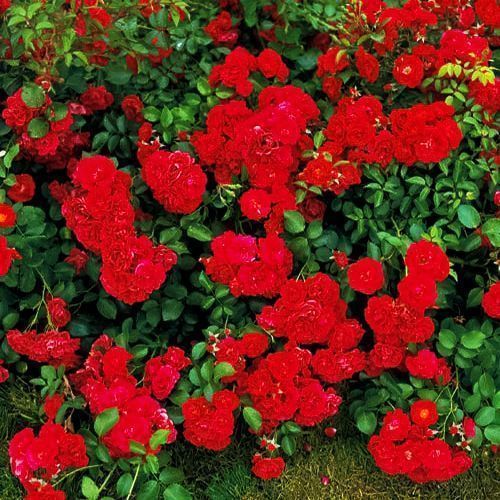 ����  ���� �������������� ������, ������ �� 282 ���