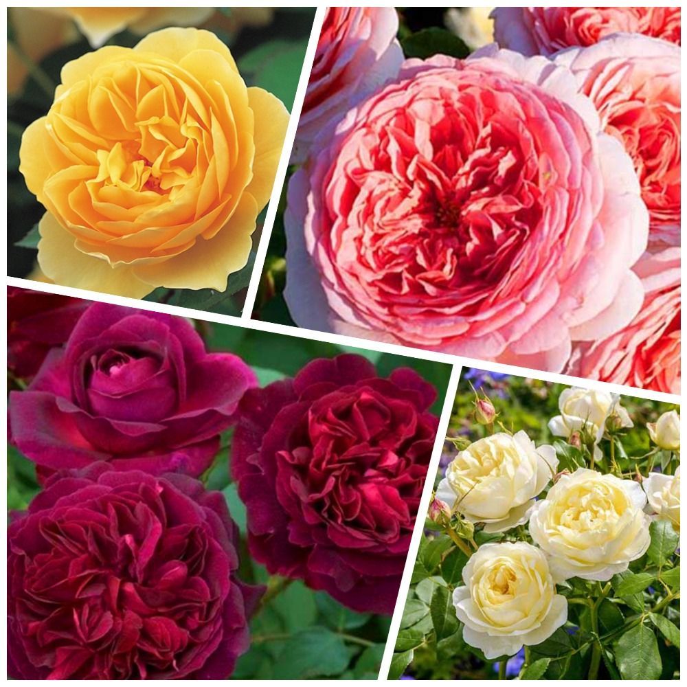 ����  �����������! �������� ���������� ��� 