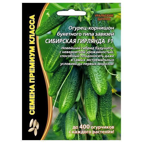 ����  ������ �������� ��������� �������� F1 ��������� ������, ������ �� 98 ���