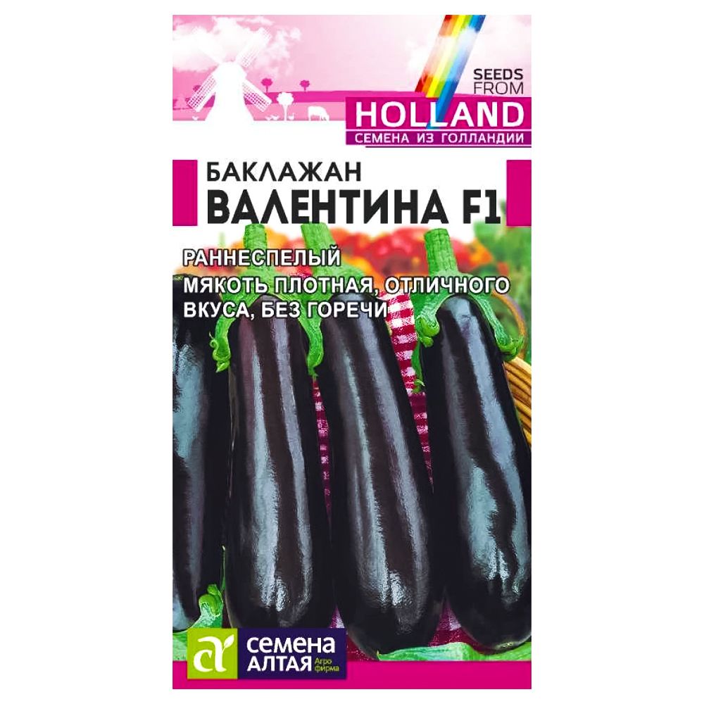 ����  �������� ��������� F1 ������ �����, ������ �� 84 ���