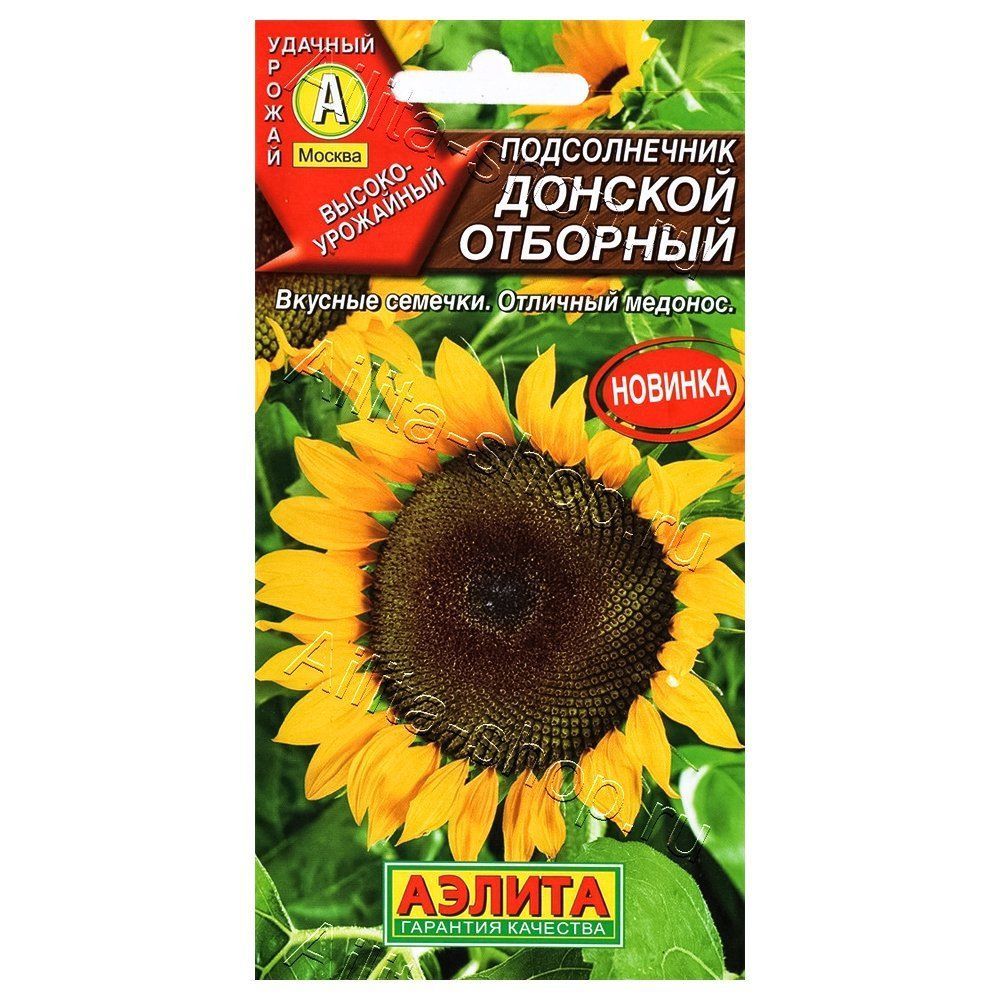 ����  ������������ ������� �������� ������, ������ �� 24 ���