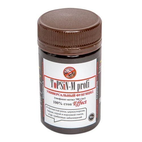 ����  ������-� (ToPSiN-M profi), �������� �� �������� �������� 10 �, ������ �� 217 ���