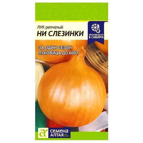 ����  ��� �������� �� �������� ������ �����, ������ �� 70 ���