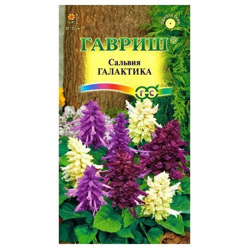 ����  ������� ���������, ����� ������� ������, ������ �� 42 ���