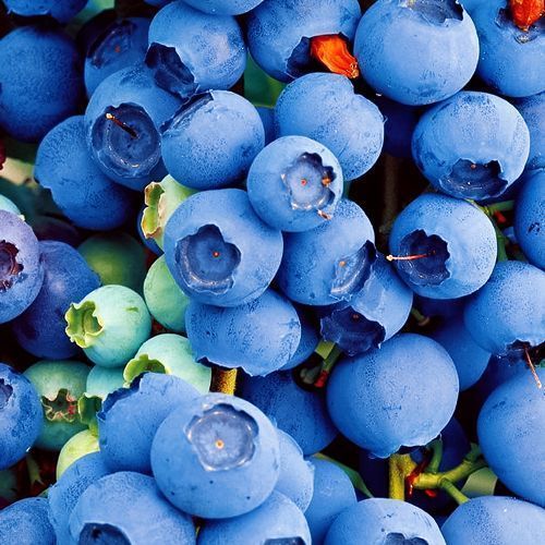 ����  �������� �������, ������ �� 632 ���