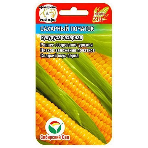 ����  �������� �������� ������� ��������� ���, ������ �� 28 ���