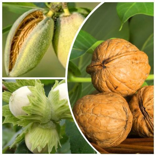 ����  �����������! �������� ������ 