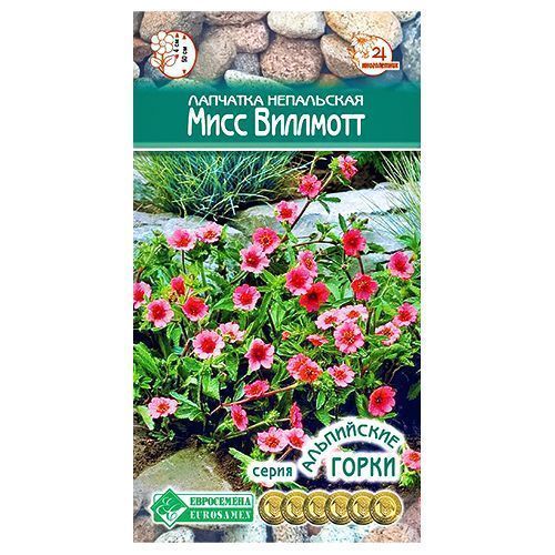 ����  �������� ���� �������� ����������, ������ �� 42 ���