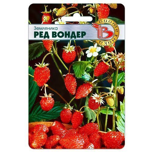 ����  ��������� ������������ ��� ������ ����������, ������ �� 168 ���