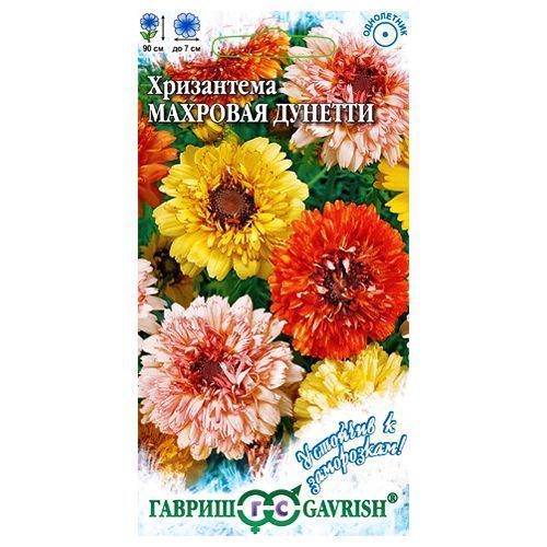 ����  ���������� �������, ����� ������� ������, ������ �� 24 ���