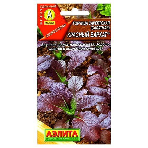 ����  ������� �������� ������� ������ ������, ������ �� 24 ���