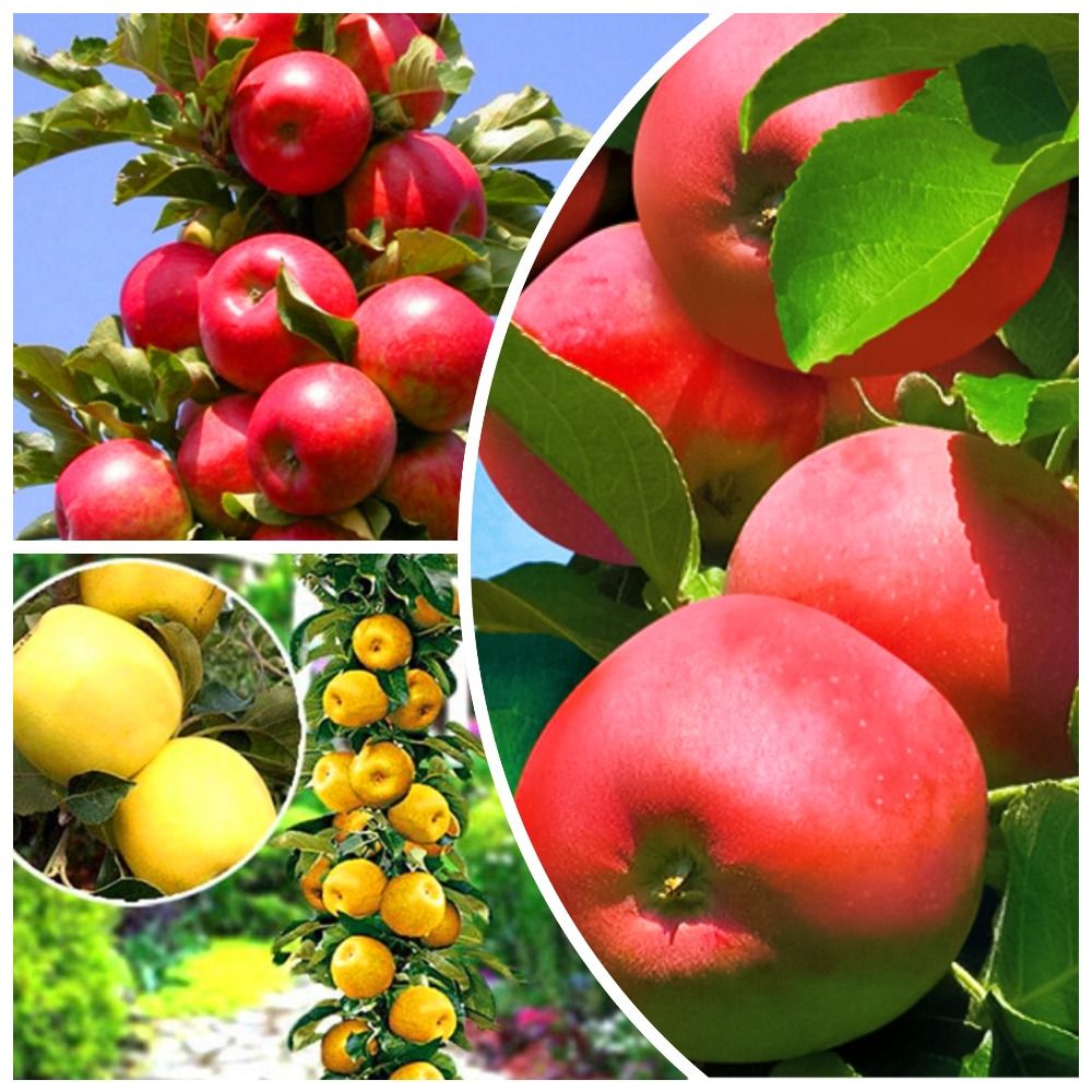 ����  �����������! �������� ������������ ������ 