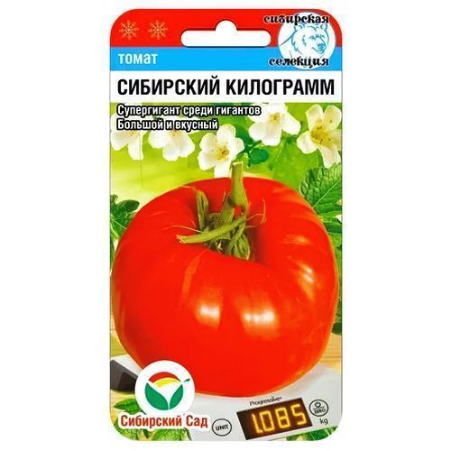 ����  ����� ��������� ��������� ��������� ���, ������ �� 56 ���