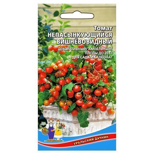 ����  ����� ��������������� ������������� ��������� ������, ������ �� 28 ���