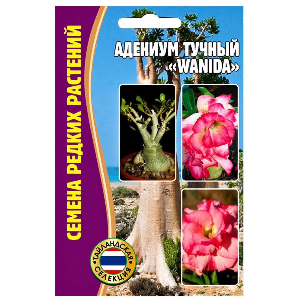 ����  ������� Wanida ������ ������, ������ �� 78 ���