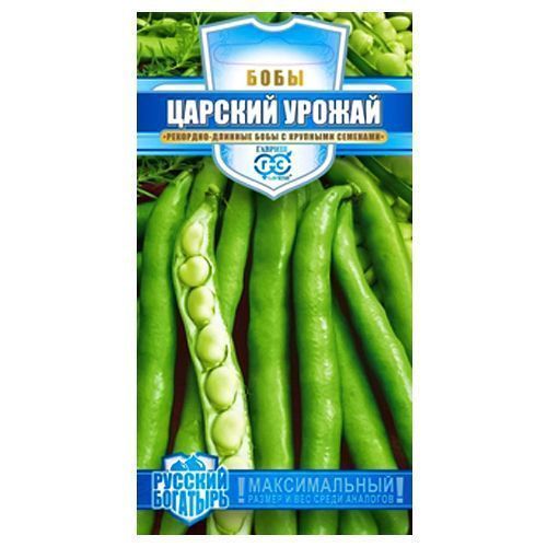 ����  ���� ������� ������ ������, ������ �� 42 ���