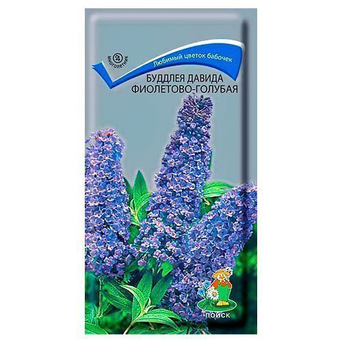 ����  ������� ������ ���������-������� �����, ������ �� 35 ���