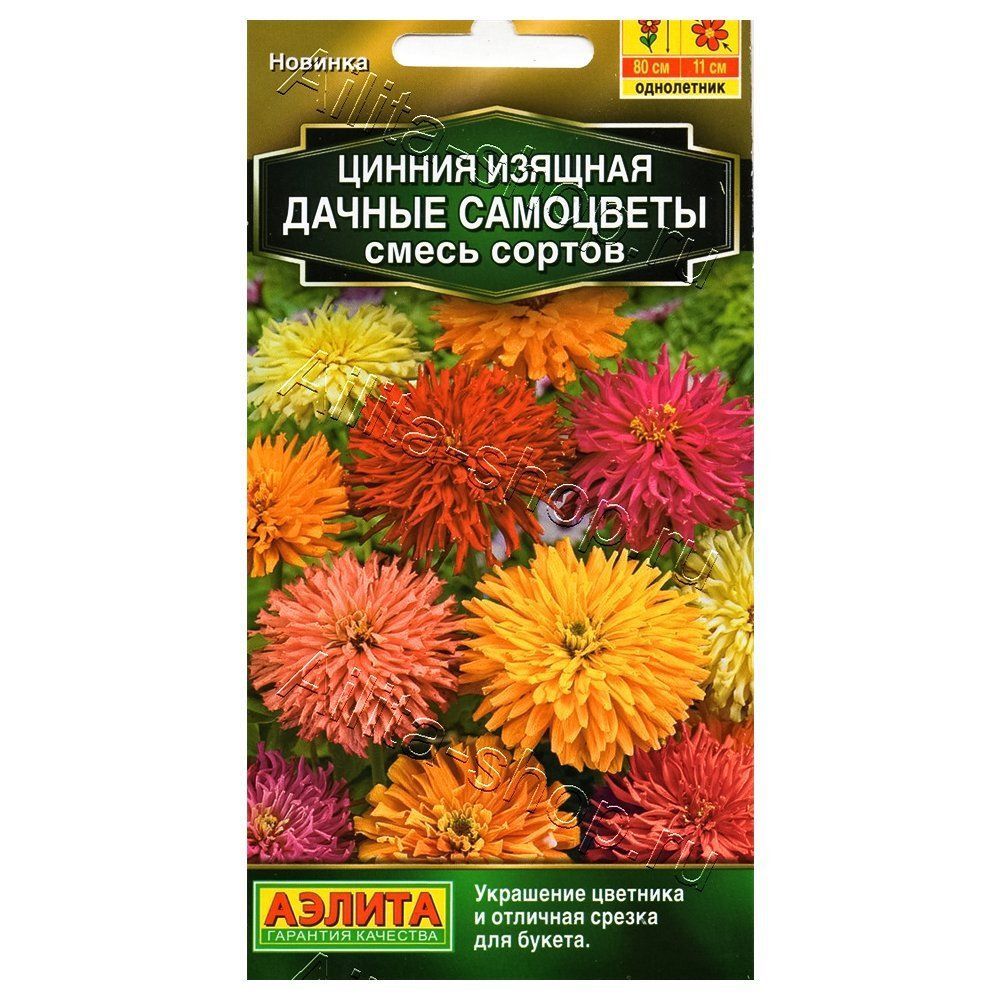 ����  ������ ������ ���������, ����� ������� ������, ������ �� 30 ���