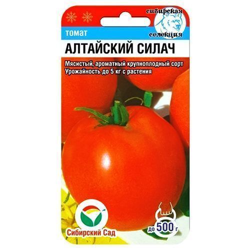 ����  ����� ��������� ����� ��������� ���, ������ �� 8 ���