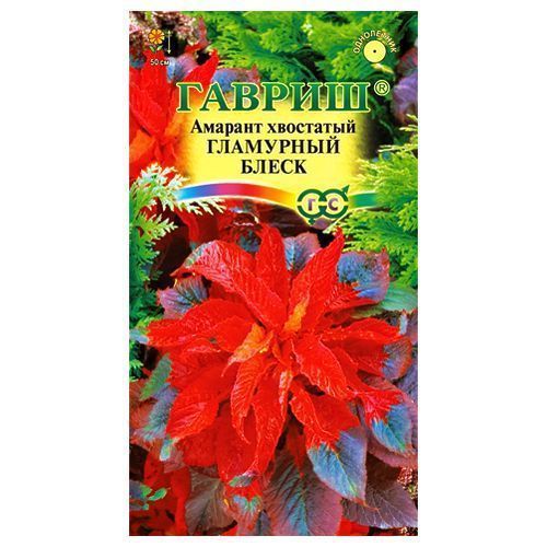 ����  ������� ��������� ����� ������, ������ �� 24 ���