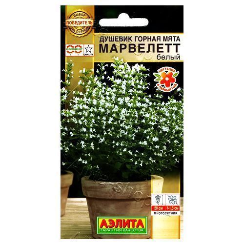 ����  ������� ������ ���� ��������� ����� ������, ������ �� 84 ���