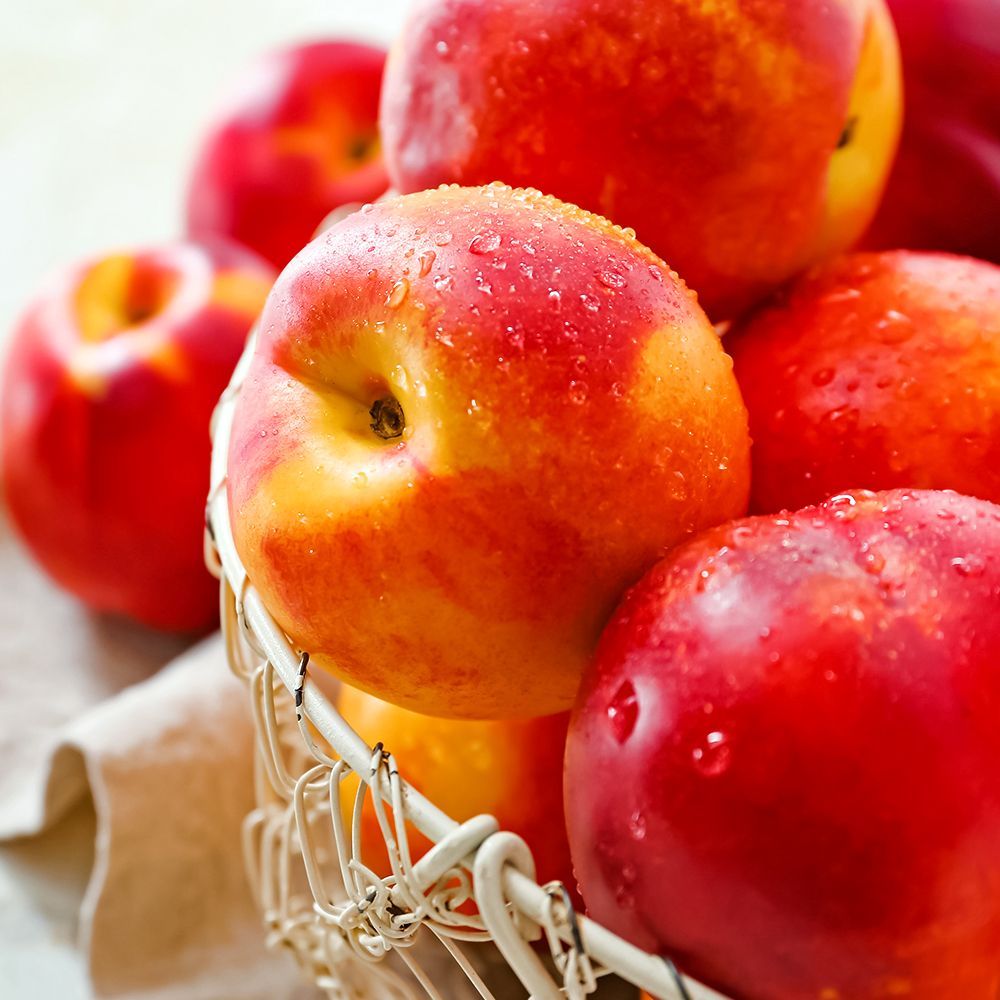 ����  �������� ����������� ������ ����-3, ������ �� 603 ���