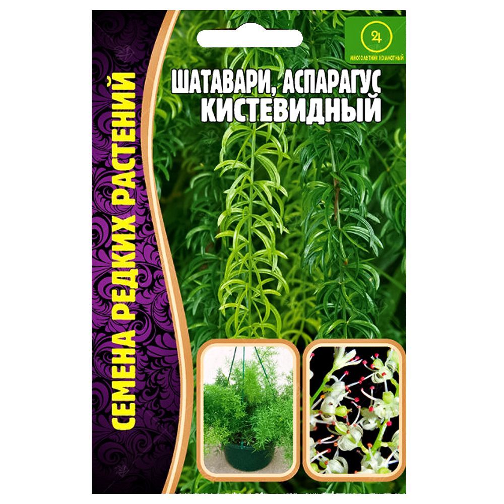 ����  �������� (��������� �����������) ������ ������, ������ �� 63 ���