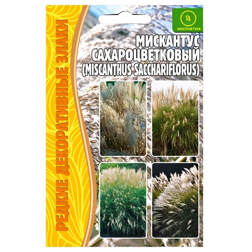 ����  ��������� ��������������� ������ ������, ������ �� 84 ���