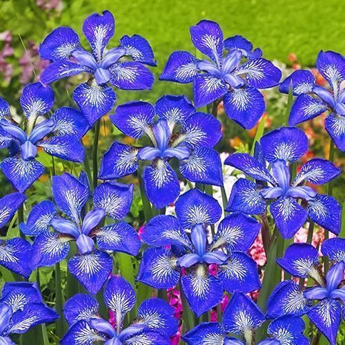 ����  ���� ��������� �� �� �����, ������ �� 640 ���