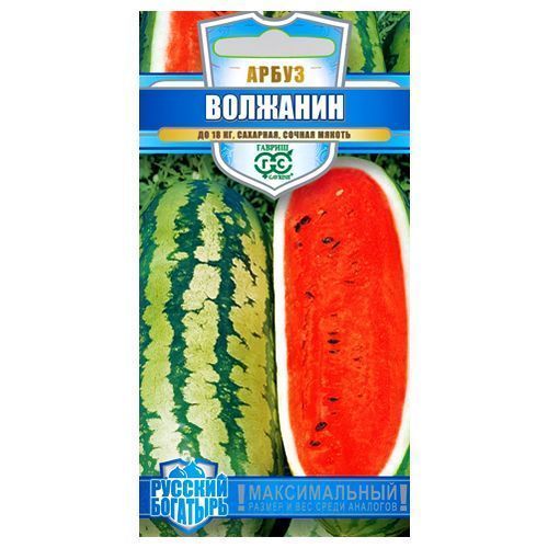 ����  ����� �������� ������, ������ �� 30 ���