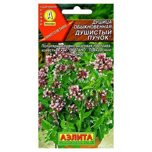 ����  ������ (�������) ������������ �������� ����� ������, ������ �� 24 ���