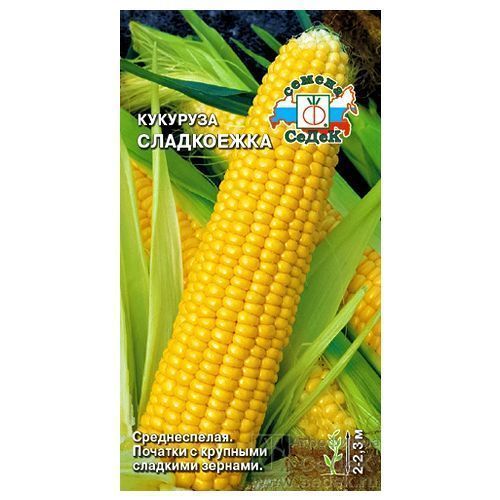 ����  �������� ���������� �����, ������ �� 30 ���