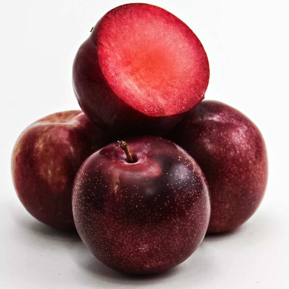 ����  ������� (������ ����� � ��������) ��������, ������ �� 483 ���