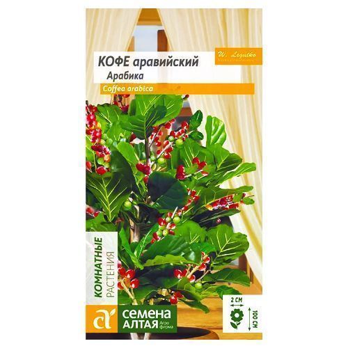 ����  ���� ���������� ������� ������ �����, ������ �� 70 ���