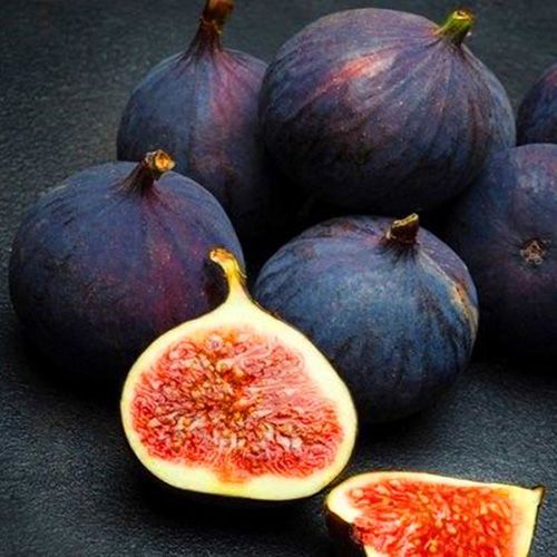 ����  ����� ������ �����, ������ �� 603 ���