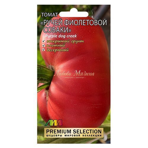 ����  ����� ����� ���������� ������ ����������� ������ �.�., ������ �� 126 ���