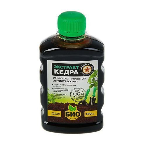 ����  ���-�������� �������� �����, ����������������-������������� 0,25 �, ������ �� 306 ���