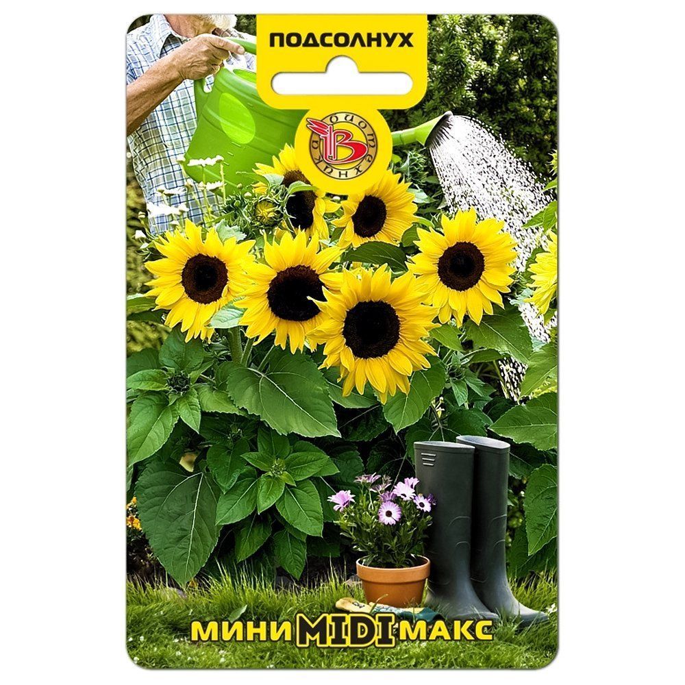 ����  ��������� ��������� ����-���� �idi F1 ����������, ������ �� 126 ���