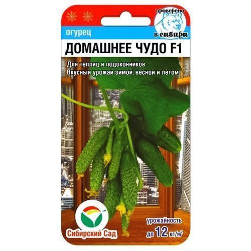 ����  ������ �������� ���� F1 ��������� ���, ������ �� 60 ���