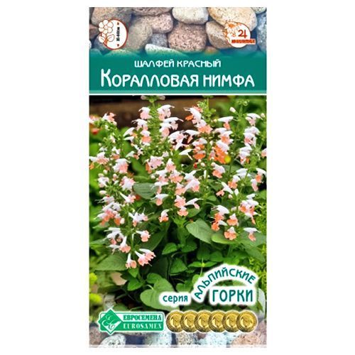 ����  ������ ������� ������� ���������� ����� ����������, ������ �� 56 ���