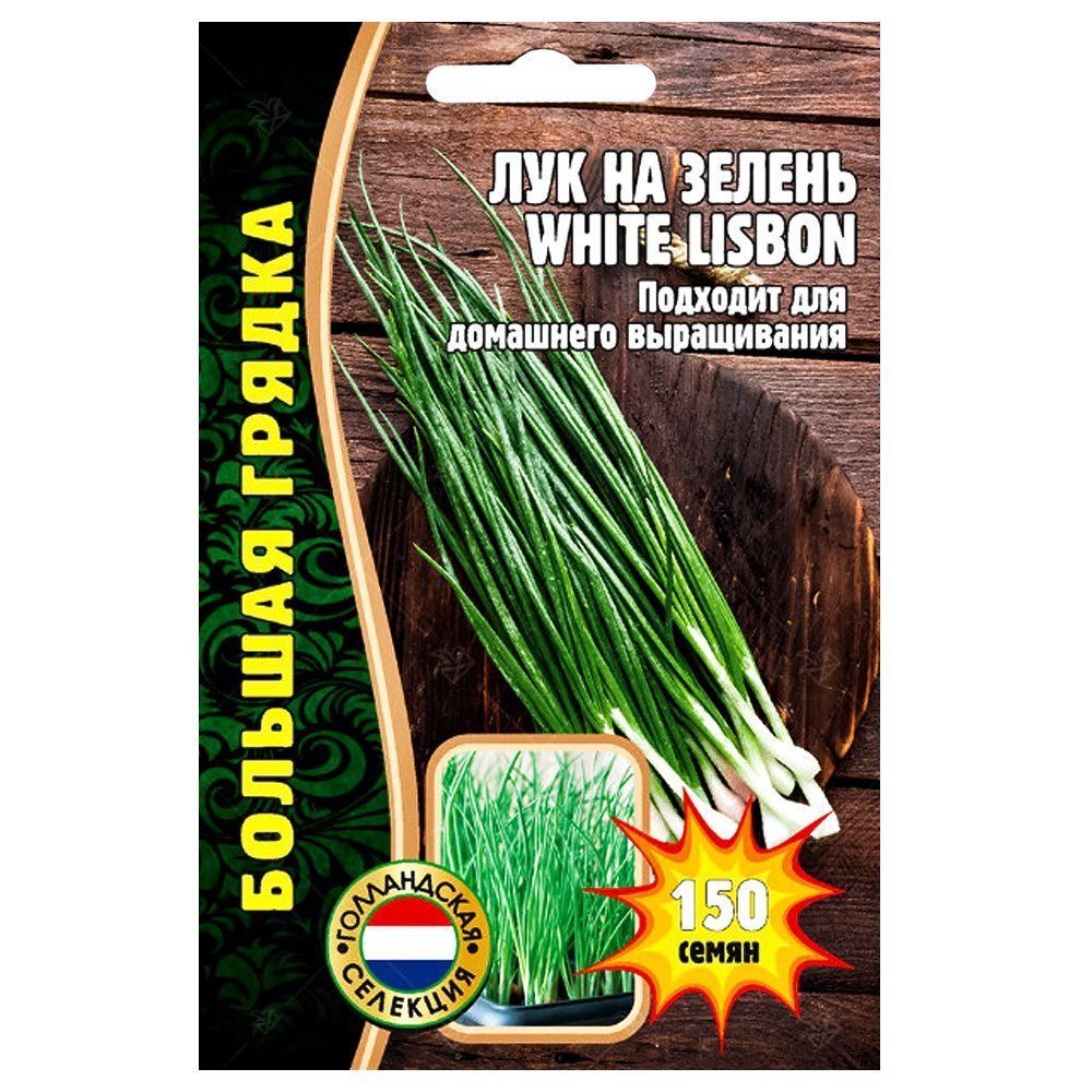 ����  ��� �� ������ White Lisbon ������ ������, ������ �� 42 ���