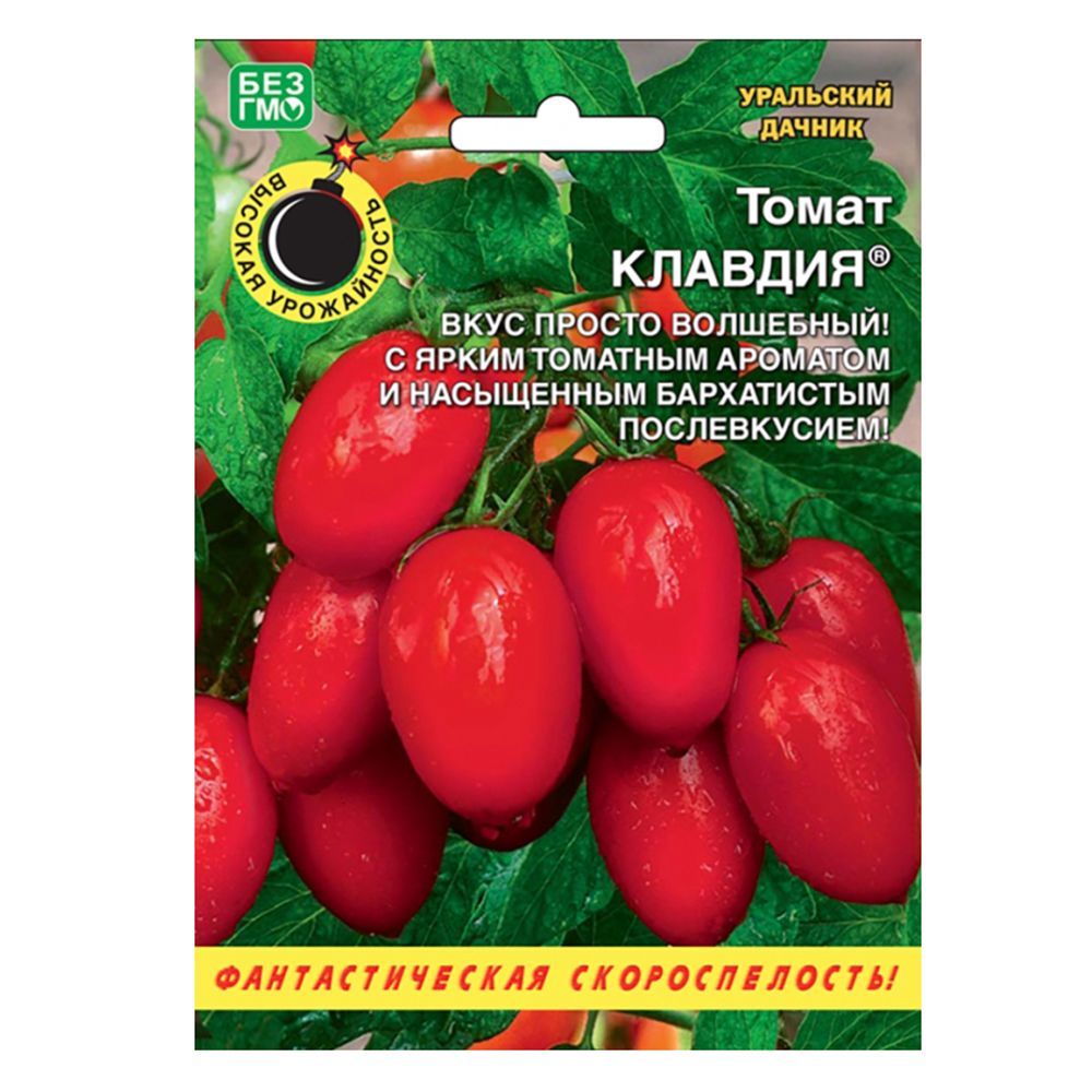 ����  ����� ������� ��������� ������, ������ �� 35 ���