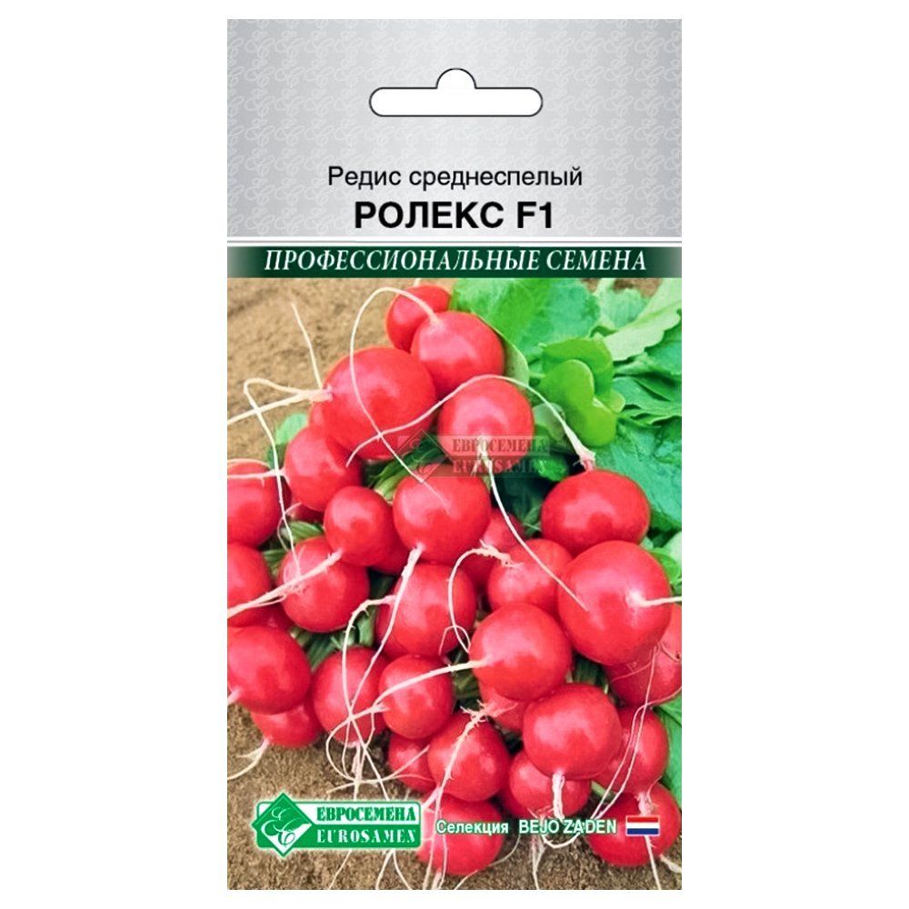 ����  ����� ������ F1 ����������, ������ �� 16 ���