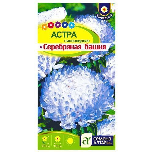 ����  ����� ����������� ���������� ����� ������ �����, ������ �� 35 ���