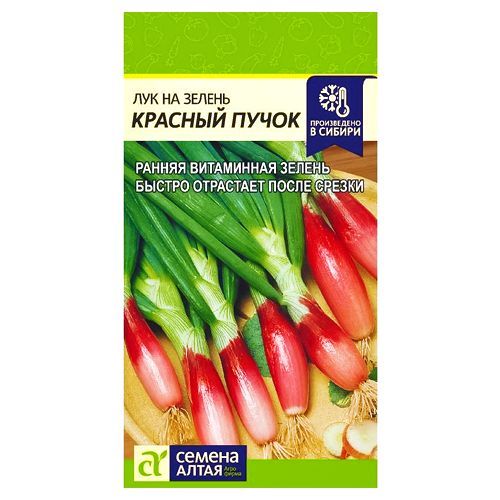 ����  ��� �� ������ ������� ����� ������ �����, ������ �� 35 ���