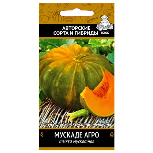 ����  ����� ������� ���� �����, ������ �� 35 ���