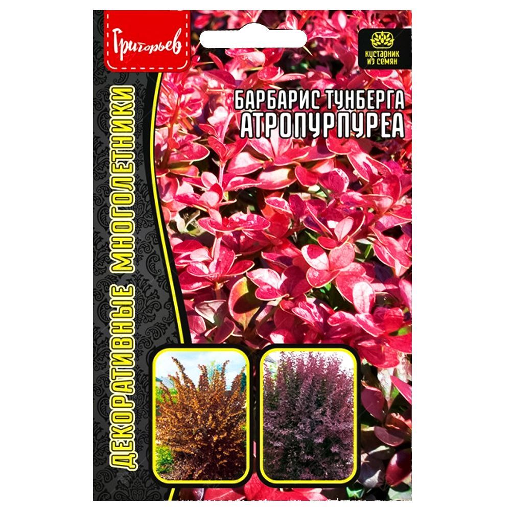 ����  �������� �������� ������������ ������ ������, ������ �� 63 ���